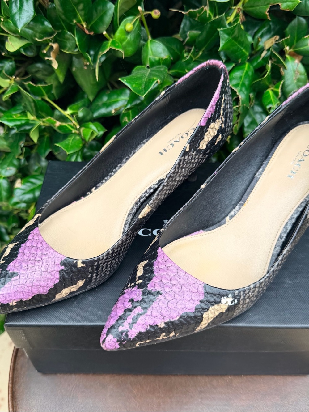 COACH Lacey Multi Python Pointed Toe Pumps